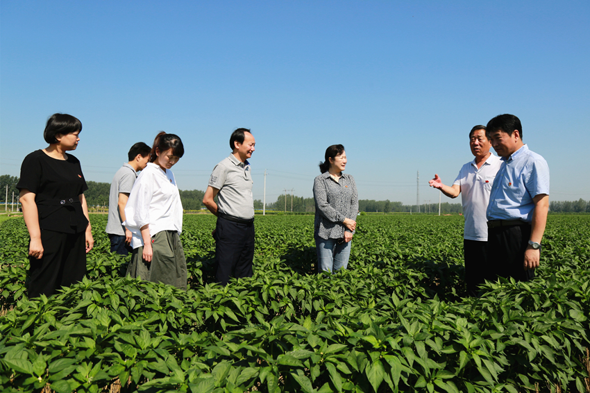 1R6A9806_副本_副本.jpg 1R6A9806_副本_副本.jpg